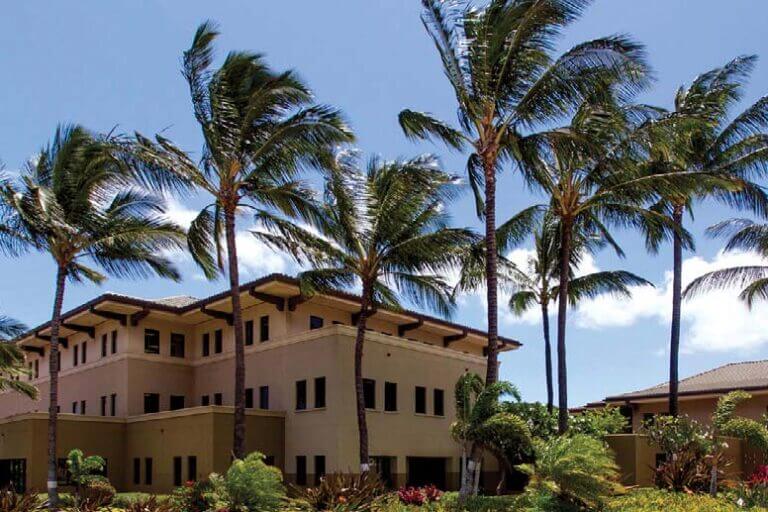 Palm trees moving in the wind with the Kapolei Health Care Center in the background